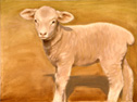 Study of a Lamb 